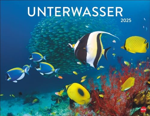 Calendrier sous-marin 2025 : calendrier photo spectaculaire au format poster, le monde sous-marin fascinant en images pour un grand calendrier décoratif.
