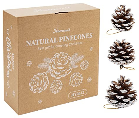 Homewit Tannenzapfen Deko, 50 Stück Kiefernzapfen mit Schnee Bereift,4-6 cm Tannenzapfen zum Basteln, Tannenzapfen Klein für Weihnachtsdeko Christbaumschmuck Tannenzapfen