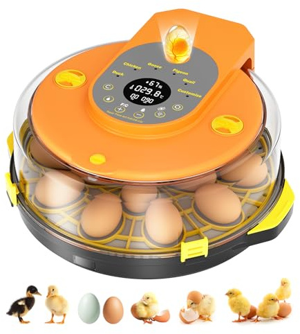 Gaethra Incubadora Huevos Gallina, Incubadora Automatica para 15 Huevos Volteo Automático de Huevos, Control de Temperatura y Humedad, Adecuado para la Incubación de Huevos de Gallina, Pato, Ganso