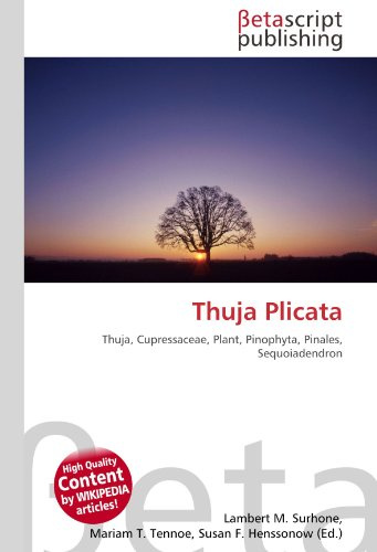 Thuja Plicata: Thuja, Cupressaceae, Plant, Pinophyta, Pinales, Sequoiadendron