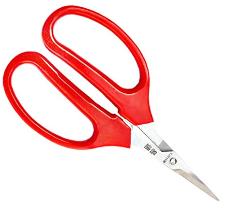 Toyvian 2 Piezas Tijeras de frutas y verduras herramienta de flores suministros de jardinería herramientas herramienta de arreglo floral tenedor de jardín Acero inoxidable