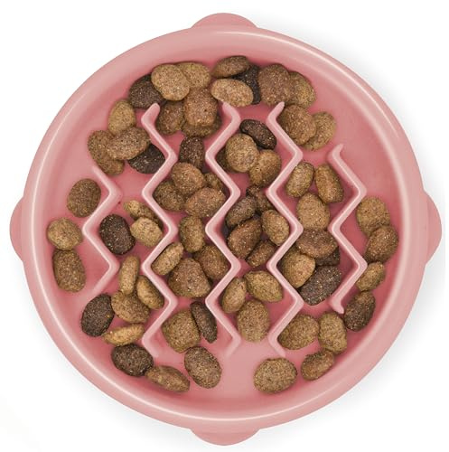 Outward Hound Puppy Slow Feeder Dog Bowl - Also suitable for Cats - Makes Meal Time Fun, Slows Down Eating, Promotes Healthy Digestion, Prevents Bloat | Slip Resistant and Durable, Size Small (Pink)