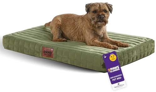 Slumberdown Orthopedic Dog Bed Medium - Supportive, Cushioned & Washable Crate Mattress for Dogs & Cats | UK-Made, Joint & Pressure Relief, Edge-to-Edge Support, Green