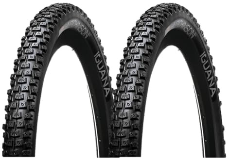 Hutchinson Lot de 2 Pneumatique VTT Iguana 26x2 Tringle Souple, Noir