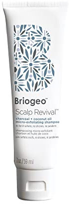 Briogeo Scalp Revival Exfoliator Charcoal Shampoo - Treatment for Dry & Itchy Scalp, Clarifying Shampoo for Build Up - 59ml