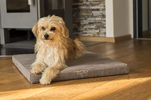 TrendPet VitaMedog 95°C - Orthopädische 5cm Hundematte Matratze mit kochbarem Bezug 50x35cm