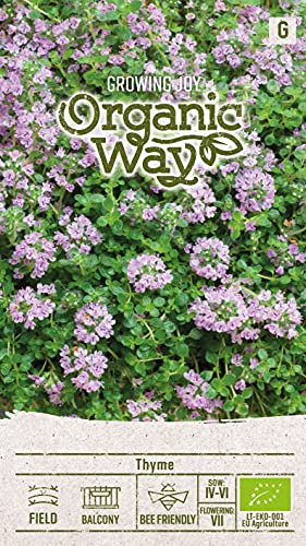 Organic Way | THYM des graines | Graines de fleurs | 1 Paquet