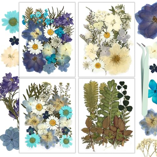 Dried Flowers, Resiners 100Pcs Pressed Flowers for Resin Soap Candle Scrapbook Supplies Card, Blue Real Natural Dried Flowers Dry Leaves Kit for DIY Papper Crafts Making Jewelry Decor