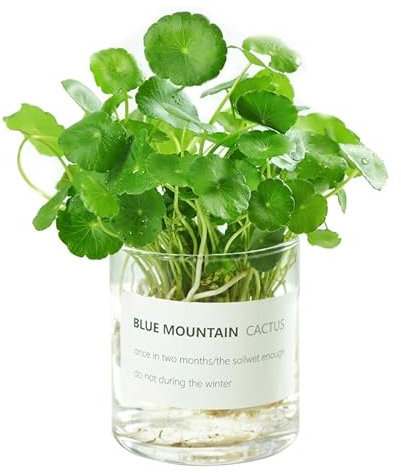 Vaso cilindrico in vetro trasparente alto 10,2 cm, vaso da fiori decorativo da tavolo, centrotavola, portacandele, vaso floreale idroponico per piante, bouquet, matrimonio, decorazione per la casa