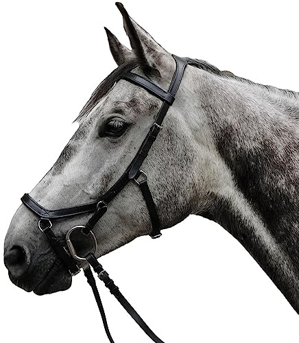 Brama West Bridon anatomique en cuir de vachette anatomique sans strass Taille Cob