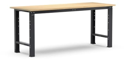 FAMI - Banco da Lavoro Garage Fisso Linea 391 in Acciaio con Piano in Multiplex di Faggio, Portata 1000 kg – Banco Officina Professionale Modulare, L2000xP750xH877 mm (Lunghezza 2000 mm)