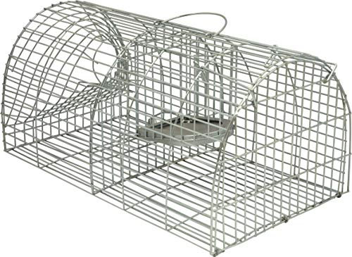 St Helens Home & Garden Multi Catch Live Animal Trap - Catch up to 6 rats in one setting, humane trap