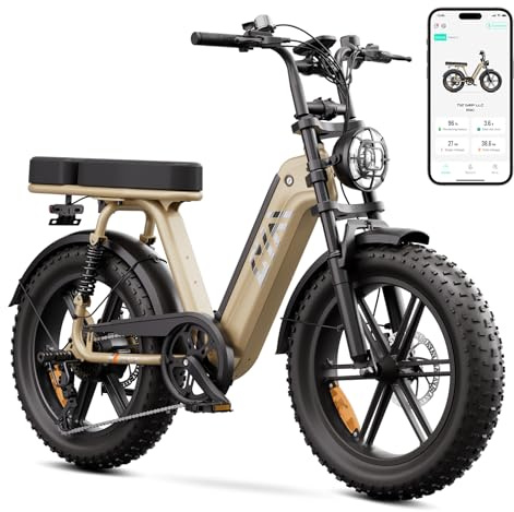 TST Bicicleta Eléctrica 20 Neumáticos Anchos E-Bike con Batería Extraíble 48V 15AH, Motor 250W, Autonomía 60km, Cuadro Paso Bajo, Suspensión, Pantalla LCD - Ideal Adultos Desplazamientos y Off-Road