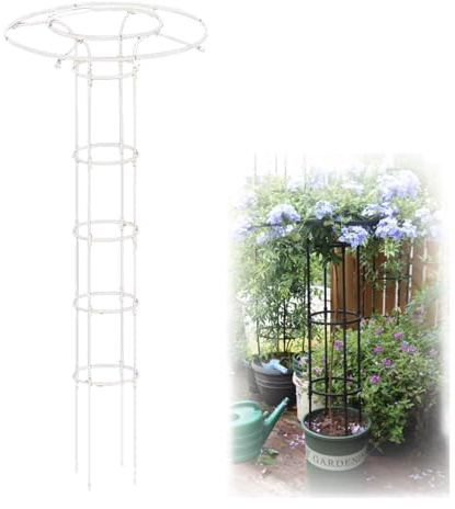 Trädgårdsspaljé – rostfritt vertikalt stöd för klätterväxter, vinstockar, rosor och blåregn – idealiskt utomhusställ för blomsterställ,
