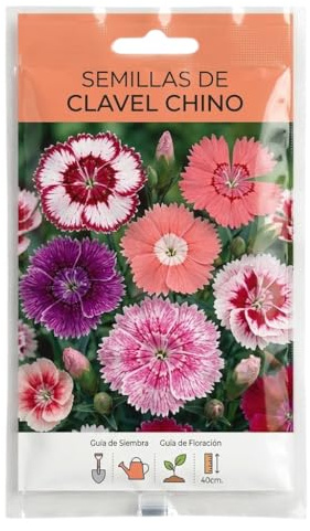 Clavel Chino Ornamentales para Jardinería Doméstica | Semillas de Clavel Chino para Balcón, Terraza o Jardín con Floración Abundante – DECOALIVE