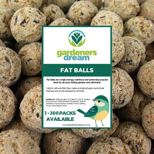 Boules de Graisse GardenersDream - Friandises énergétiques pour Oiseaux Sauvages (Paquet de 100)