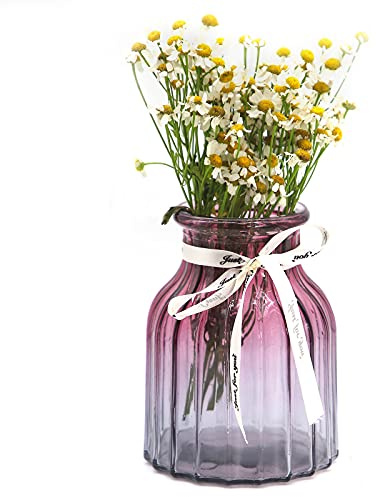OFFIDIX Vase en verre dégradé multicolore, décoration pour la maison, le bureau, le salon - Vase à fleurs en verre (gris violet)
