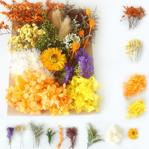 Naturliga torkade blommor dekorativa torkade blommor set för gör-det-själv-konst för pyssel, klippning, harts, hantverk och korttillverkning, ljus, gula nyanser