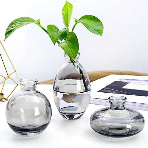 Hniuyun 3Pcs/Set Glass Vase, Small Mini Flowers Bud Vases, Transparent Hydroponic Vase Minimalist Aesthetic Home Decor (Gray)
