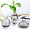 Hniuyun 3Pcs/Set Glass Vase, Small Mini Flowers Bud Vases, Transparent Hydroponic Vase Minimalist Aesthetic Home Decor (Gray)