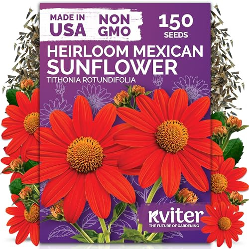 KVITER 150 Mexican Sunflower Seeds For Planting (Tithonia rotundifolia) – Tithonia Seed Packets Bulk, Red Sunflower Heirloom Seed Orange Sunflowers – Flower Seeds Garden Beds and Outdoor Flower Garden