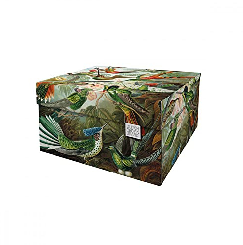 Dutch Design Brand Aufbewahrungsbox Small mit Deckel – 2 Aufbewahrungsboxen – FSC-zertifizierter, recycelbarer Karton (Größe: 27,8 x 20,6 x 14 cm) (Art of Nature)
