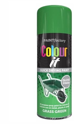 SuperGift.com Grass Green Gloss All Purpose Aerosol Spray Paint 250ml Quick Drying Spray, Fast Dry and Excellent Coverage for Metal, Wood, Plastic and More by Diva Gift