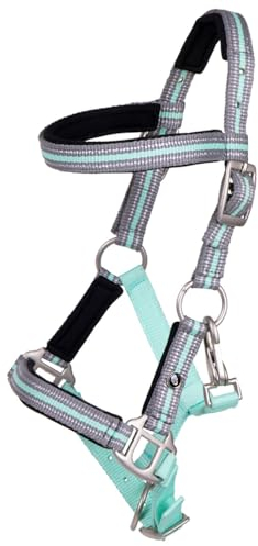 QHP Fohlenhalfter Flore mit Stirnband (Ice Green, Warmblut)