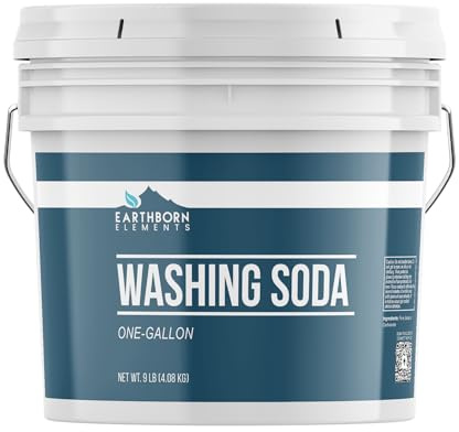 Earthborn Elements Washing Soda (1 Gallon), Soda Ash, Sodium Carbonate, Non-Toxic Laundry Booster