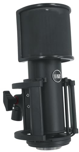 512 Audio Skylight - Micrófono XLR de Condensador de diafragma Grande para podcasts, Streaming y grabaciones vocales (512-SLT)