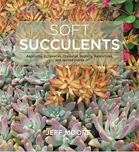 Soft Succulents: Aeoniums, Echeverias, Crassulas, Sedums, Kalanchoes, and related plants