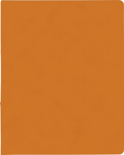 BRUNNEN Ringbuch A4 FACT!plus 2R 15mm orang