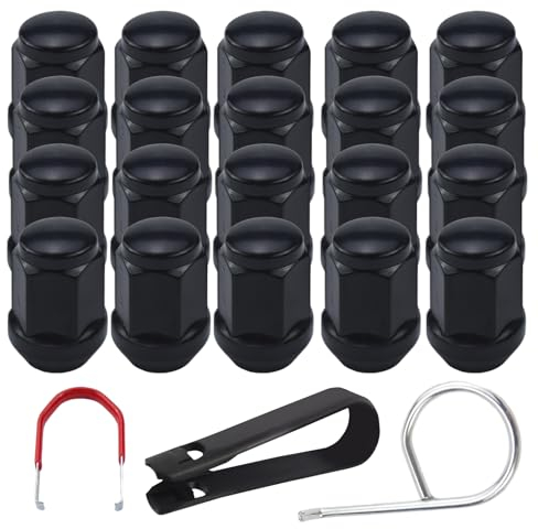 Rierousy 20 Stück M12x1,5 Radmuttern Geschlossen mit 19mm und 60° Konischem Sitz,Kompatibel mit den Meisten auf dem Markt Befindlichen Rädern von Automarken,Lug Nuts
