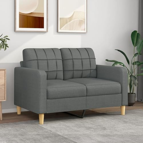 LAPOOH 2-sitsig soffa, mörkgrå, 120 cm tyg, soffa, vardagsrum, ungdomssoffa, relaxsoffa, soffor och soffor, soffa för sovrum, ungdom, barnrum