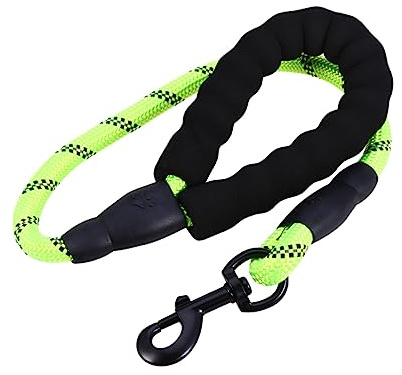 BESPORTBLE Laisse de Traction pour Chien Courte 60cm en Nylon Vert Réfléchissant Protection Main pour Promenade, Randonnée et Jogging Sécurisés