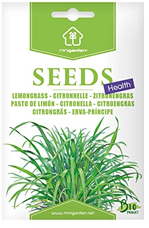 Zitronengras, Samen von Minigarden, enthält zwischen 40 und 25 Samen