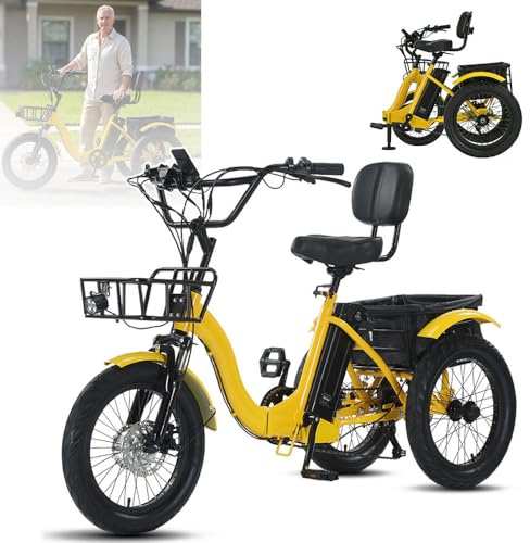 ZAYMGPD Bicicleta Eléctrica De 3 Ruedas de 24 Pulgadas,Asiento Cómodo con Respaldo Y 2 Cestas De Carga,Patinete Eléctrico para Adultos,Fácil De Subir Cuestas,para Uso Diario de Personas Mayores