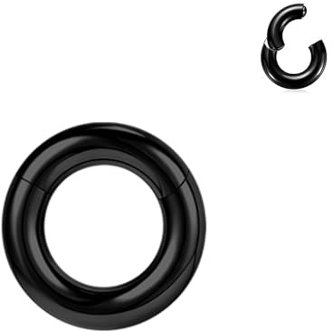 BodyAce Anillos PA de segmento con bisagras negras, 2G, 4G, 6G, 8G, 10G, 12G, anillos grandes BCR de acero quirúrgico, aro para tabique nasal, calibre de oreja, aros negros, Acero inoxidable, otros