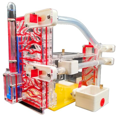 Ujjdwiurgh Ant Farm T Design - Fattoria di formiche fai da te con area di alimentazione per formiche domestiche, insetti, formicai, formicai, rosso