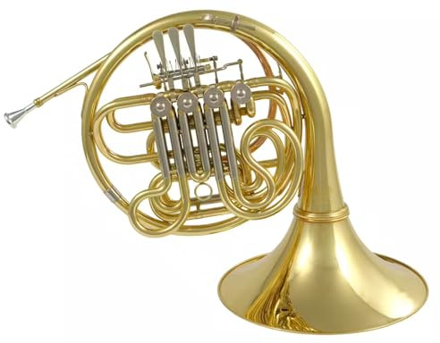 Woodbrass WHR400D - Cor d’Harmonie Si♭/Fa Verni - Instrument à Vent Débutant Prêt à Jouer, Double Palette 4 Barillets, Pavillon Laiton Verni, Étui & Embouchure Inclus