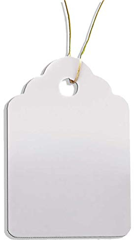 HomeTools.eu - 100 Etichette per Piante con asola, Ideali per Piante, Alberi e cespugli, in plastica, Misura 3,5 x 2,5 cm, Resistenti alle intemperie