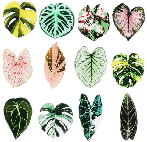 BOXOB 12uds Imanes Nevera con Forma Hoja, Imanes Decorativos con Tema Plantas para Cocina Oficina Escuela Taquilla Decoración Hogar Idea Regalo Divertida para Amantes Plantas Inauguración Cumpleaños