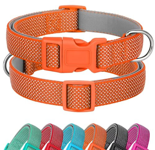 Didog Reflektierendes Hundehalsband mit Schnalle, verstellbar, weiches Neopren, gepolstert, Nylon, Haustierhalsbänder für kleine, mittelgroße und große Hunde, Orange, S