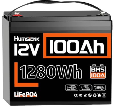 Humsienk Batteria al Litio LiFePO4 12V 100Ah, BMS 100A con Protezione Bassa Temperatura, 15000 Cicli Profondi, per Camper, Yacht, Fotovoltaico e Sistemi Off-Grid
