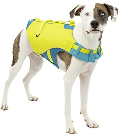 Kurgo Surf n' Turf Hundeschwimmweste, Hundeschwimmweste zum Schwimmen, Schwimmwesten für Hunde, Hund PFD, reflektierend, verstellbar, Blau/Grün, Small
