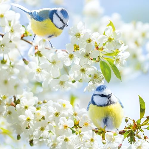 Noel Tatt RSPB Birthday or All-Occasion Card - Floral Blue Tit Design - Blank Inside - For Men or Women - Animal Greeting Card