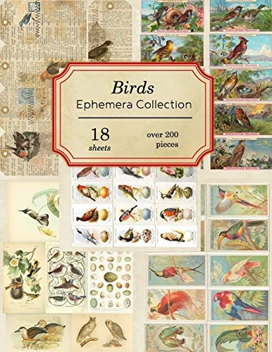 Birds Ephemera Collection: 18 sheets - over 200 vintage Ephemera pieces for DIY cards, journals and other paper crafts