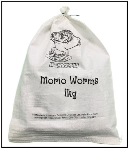 Livefoods4u Live Morio Worms 1kg Bulk Bag (40-60mm) | Live Food for Reptiles | Next Day Delivery