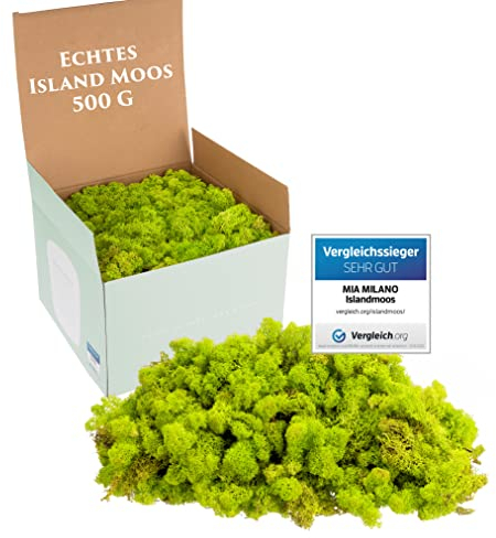 Mia Milano Islandmoos hellgrün konserviert | Moos Deko zum Basteln | 500g Echtes Dekomoos Isländisch für Moosbild | Mooswand lebend