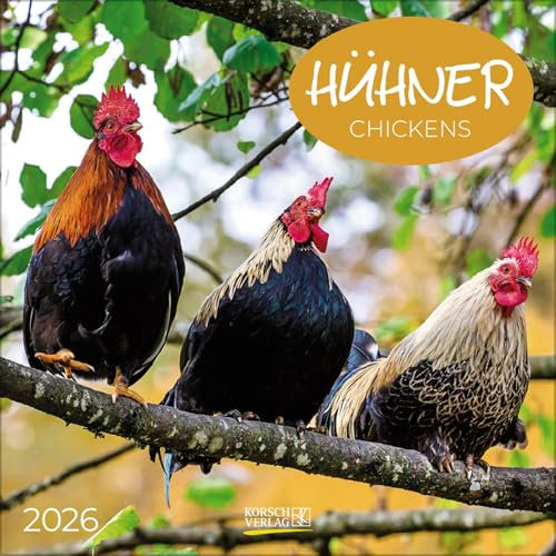 Hühner 2026: Broschürenkalender mit Ferienterminen. Tierkalender mit viel Platz für Notizen. Mit Monatskalendarium zum Eintragen. 30 x 30 cm